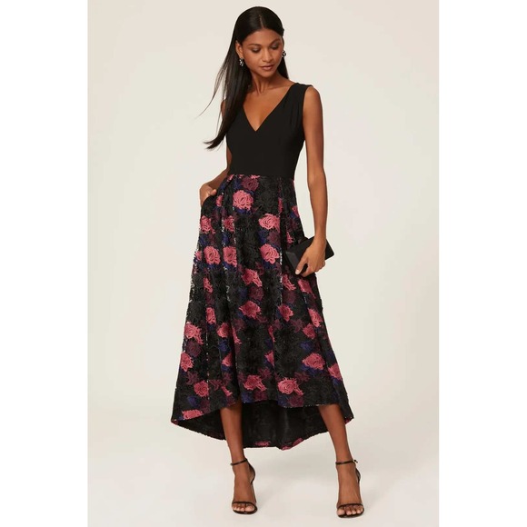 Hutch Dresses & Skirts - Hutch Lace Plunge Gown Black Pink Floral Dress Sleeveless V-Neck Sz 0